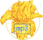 mp3